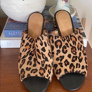 Matisse Leopard Mules